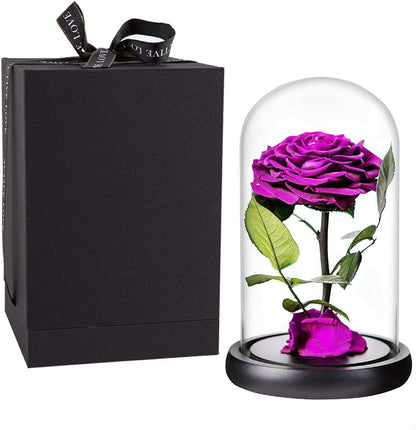 Purple Roses Handmade Rose in Glass Dome, Preserved Flowers Never Withered Romantic Gifts for Her, Mother'S Day, Birthday Gifts for Women (9 Inch, Purple)