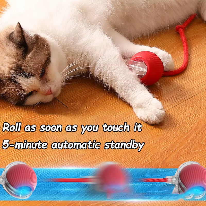 Rechargeable Interactive Cat Ball Toys - Automatic Rolling & Faux Tail Design for Ultimate Playtime Fun!
