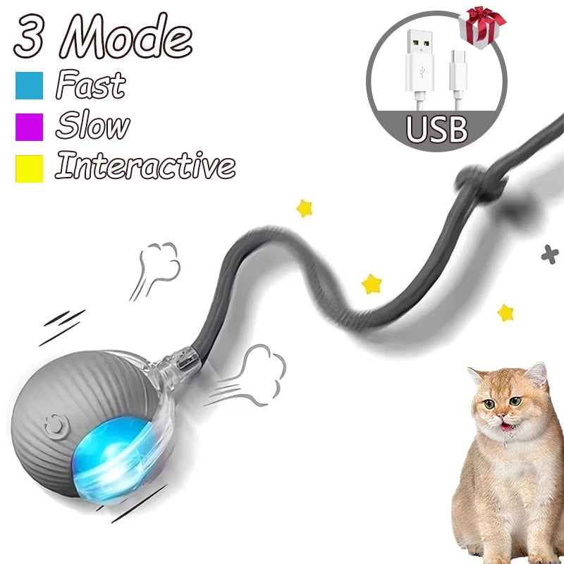 Rechargeable Interactive Cat Ball Toys - Automatic Rolling & Faux Tail Design for Ultimate Playtime Fun!