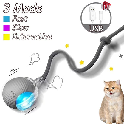 Rechargeable Interactive Cat Ball Toys - Automatic Rolling & Faux Tail Design for Ultimate Playtime Fun!