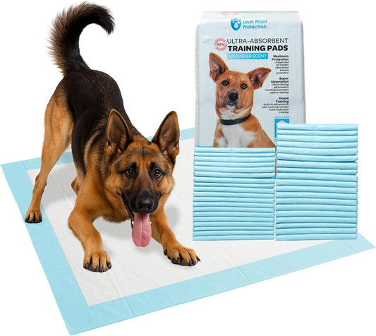Ultra-Absorbent Dog Training Pads for Effortless Potty Training