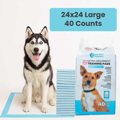 Ultra-Absorbent Dog Training Pads for Effortless Potty Training